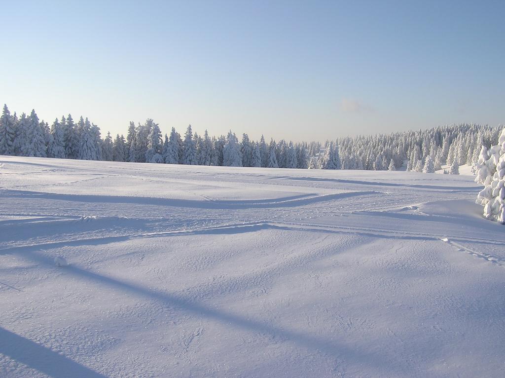 Apartments Rogla Zreče Zewnętrze zdjęcie