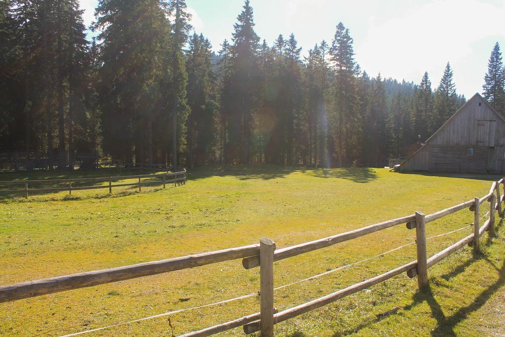 Apartments Rogla Zreče Zewnętrze zdjęcie