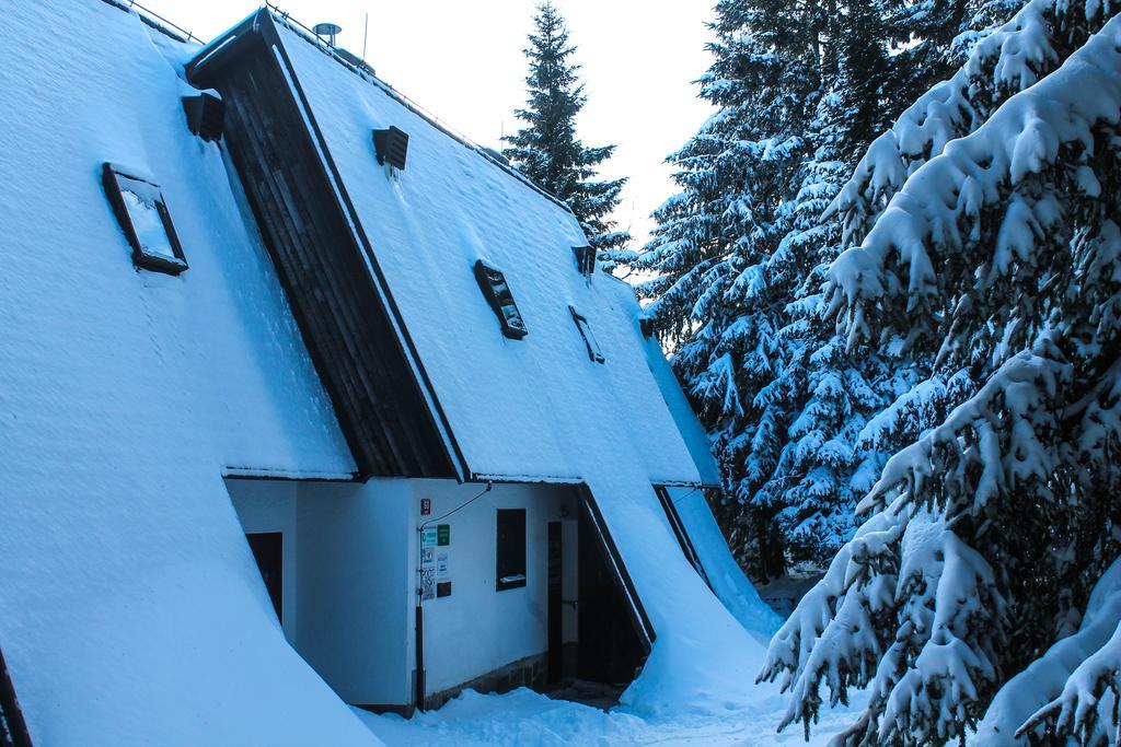 Apartments Rogla Zreče Zewnętrze zdjęcie